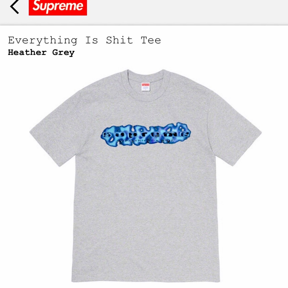 *SOLD* Supreme Everything Is Shit Tee in Grey - Picture 2 of 3